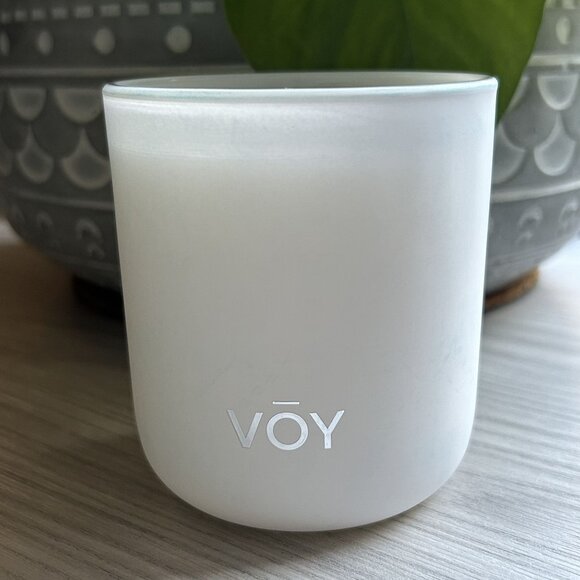NEW VOY Fragrance Fresh Cut Frasier Fir Candle Christmas Tree Soy Blend Gift - Picture 4 of 7